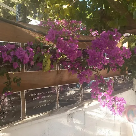 Casadelias Glamping